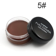 Professional Full Coverage Flawless Makeup Texture Concealer Foundation 5 color choose